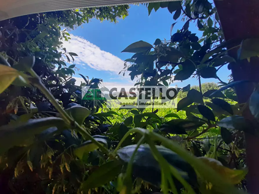 Immagine 22 di Casa bifamiliare in vendita  in Via Risare a Campo San Martino