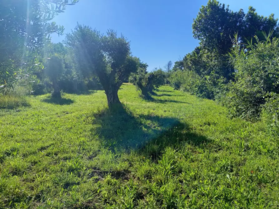 Immagine 2 di Terreno in vendita  in Strada di Colle Marocco a Palombara Sabina