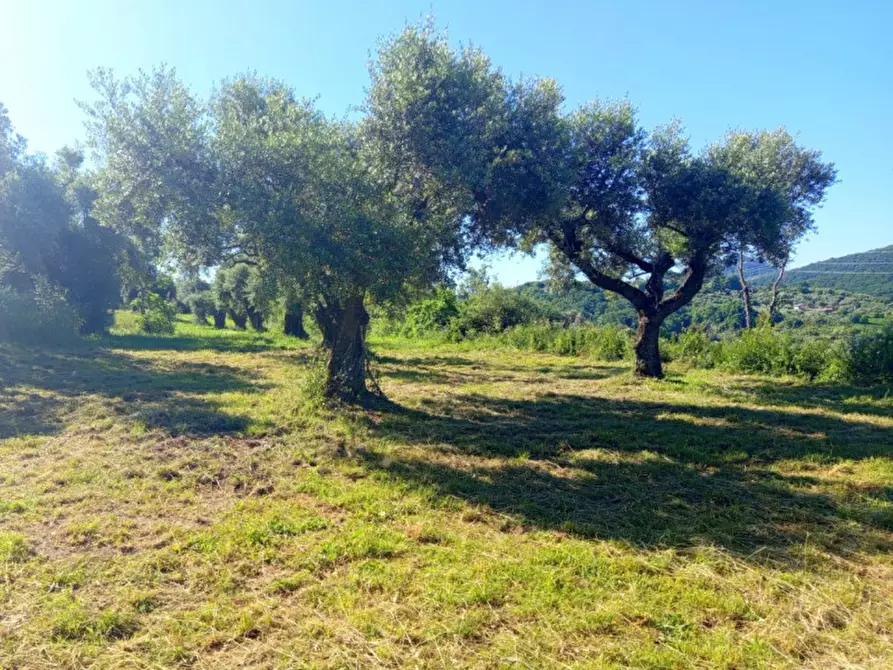 Immagine 3 di Terreno in vendita  in Strada di Colle Marocco a Palombara Sabina