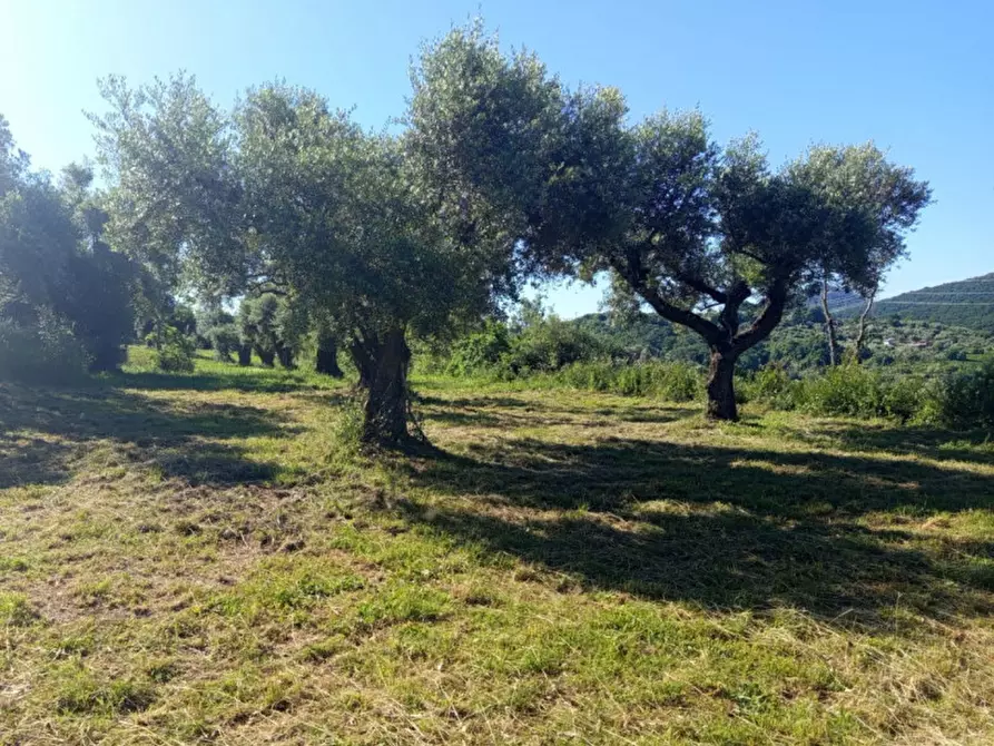 Immagine 4 di Terreno in vendita  in Strada di Colle Marocco a Palombara Sabina