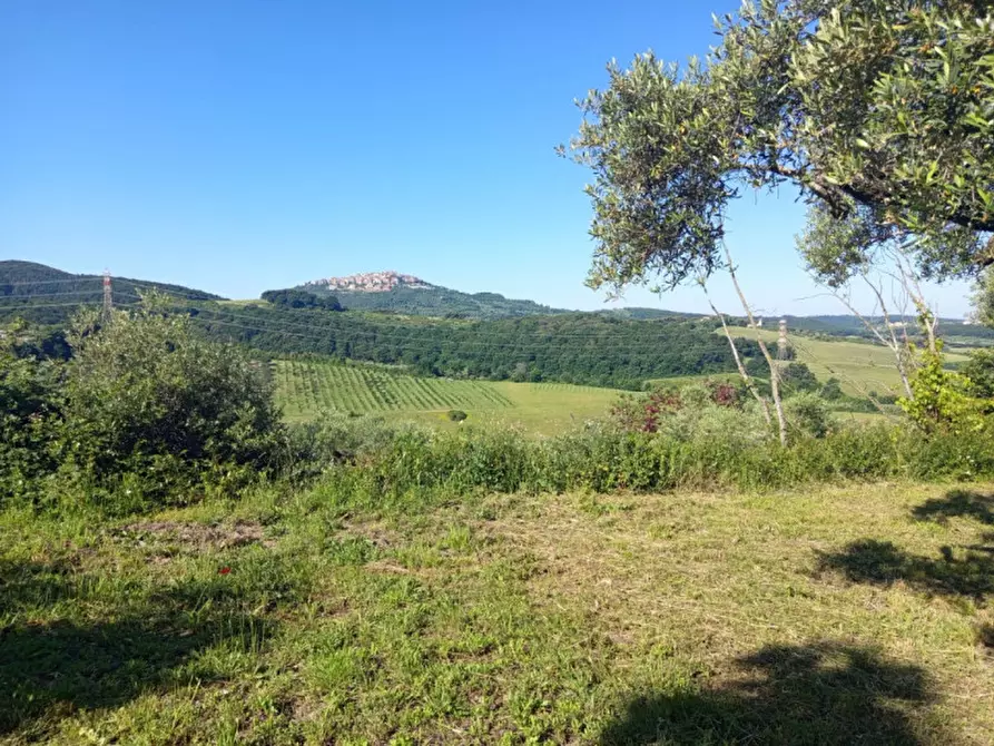 Immagine 8 di Terreno in vendita  in Strada di Colle Marocco a Palombara Sabina