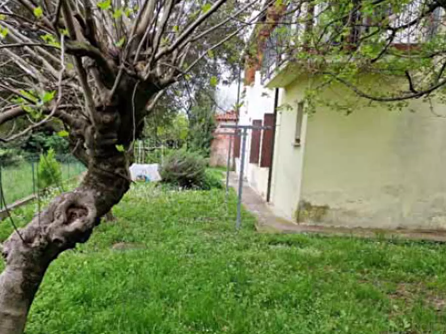 Immagine 3 di Appartamento in vendita  in Via Le Basse, 28 a Oderzo