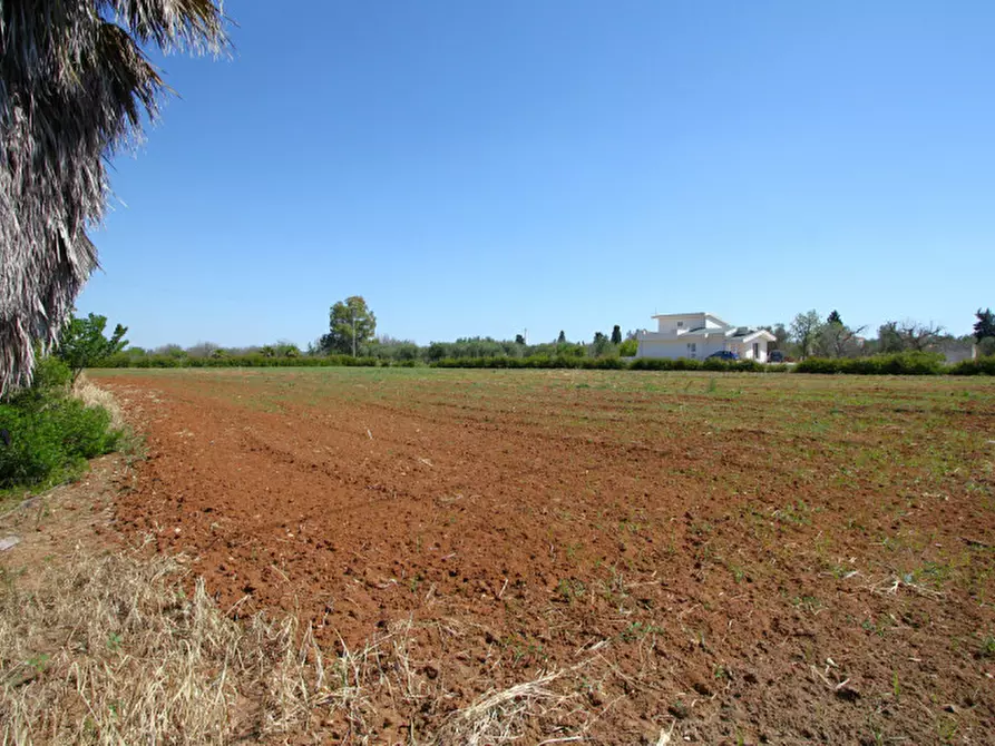 Immagine 14 di Rustico / casale in vendita  in SP-86 a Supersano