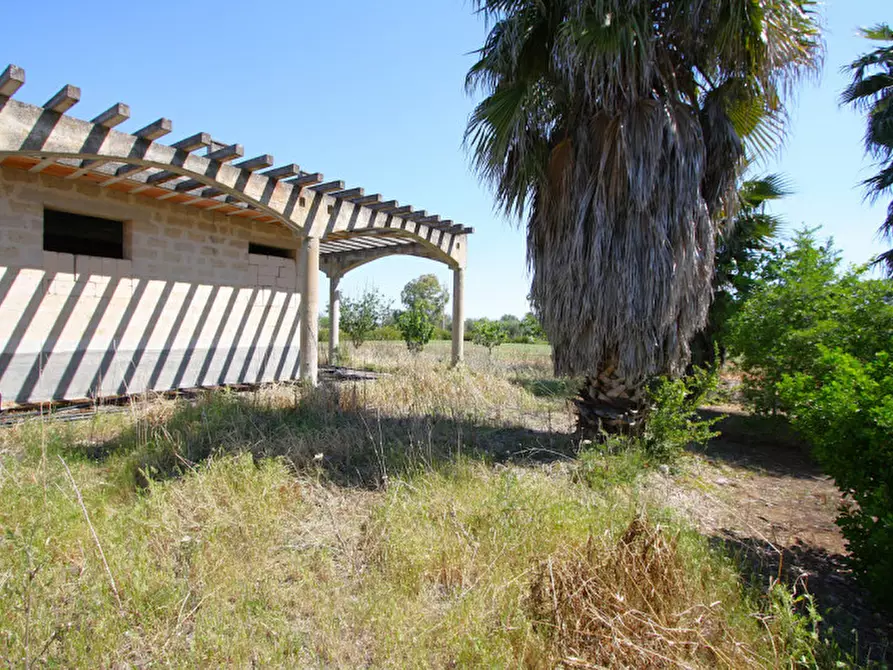 Immagine 18 di Rustico / casale in vendita  in SP-86 a Supersano