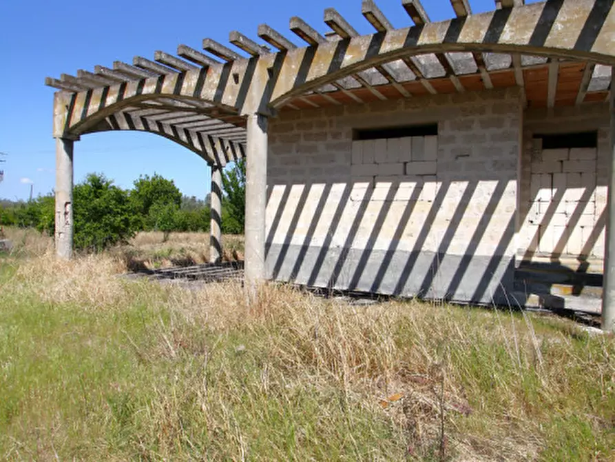 Immagine 19 di Rustico / casale in vendita  in SP-86 a Supersano