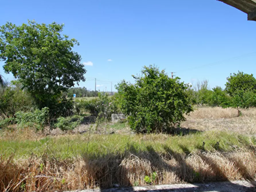 Immagine 23 di Rustico / casale in vendita  in SP-86 a Supersano