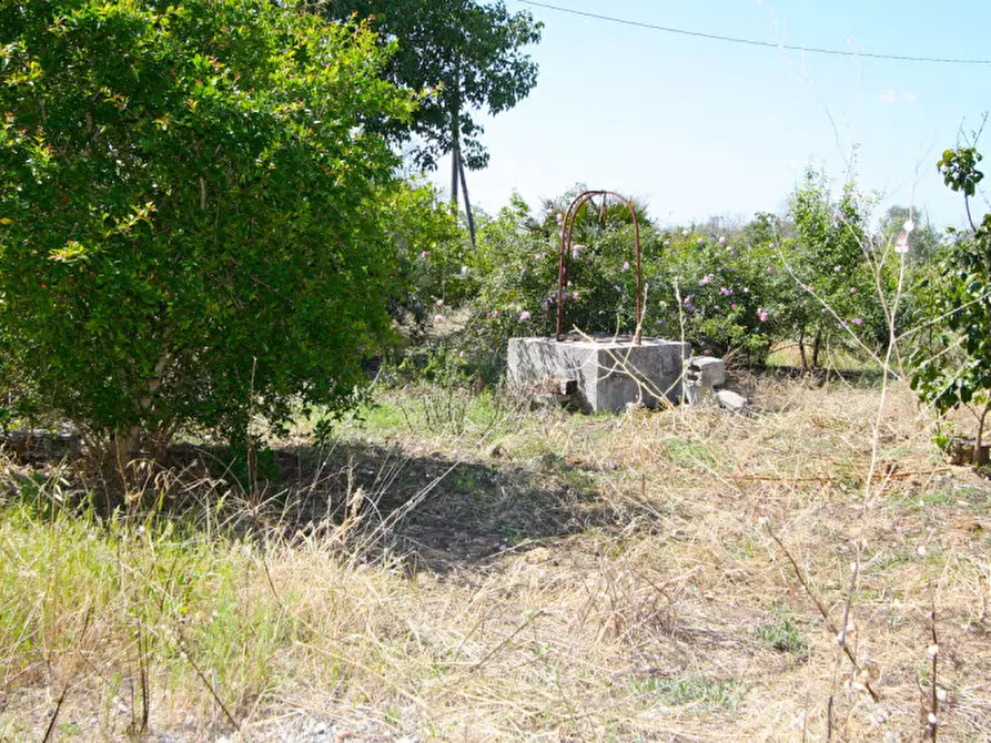 Immagine 25 di Rustico / casale in vendita  in SP-86 a Supersano