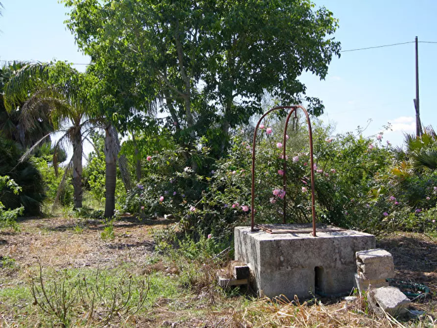 Immagine 26 di Rustico / casale in vendita  in SP-86 a Supersano