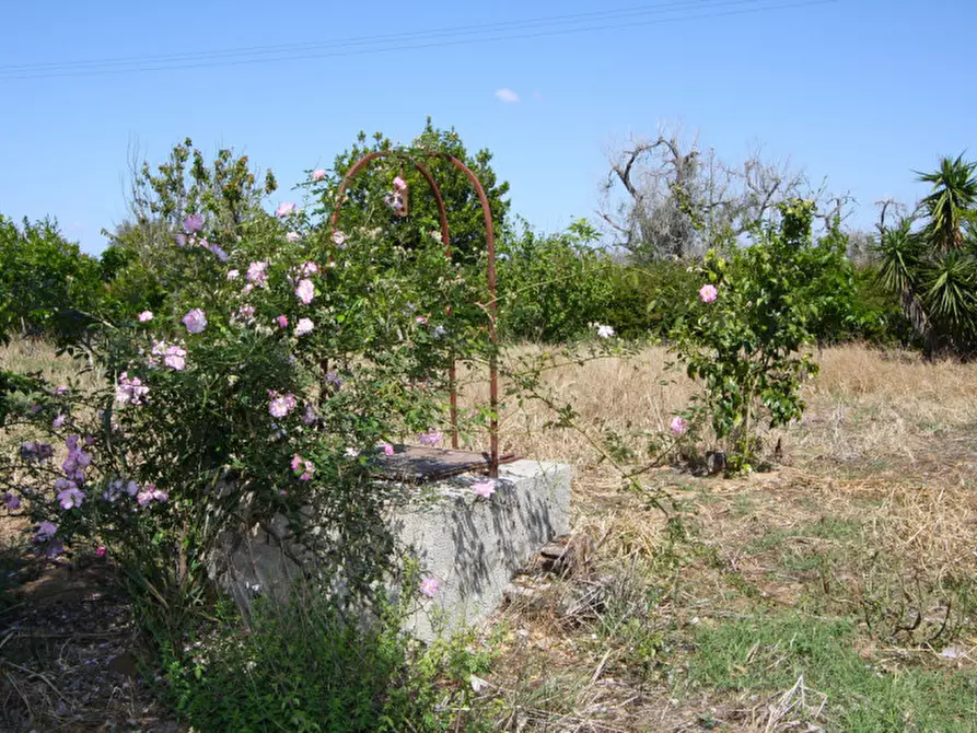 Immagine 27 di Rustico / casale in vendita  in SP-86 a Supersano