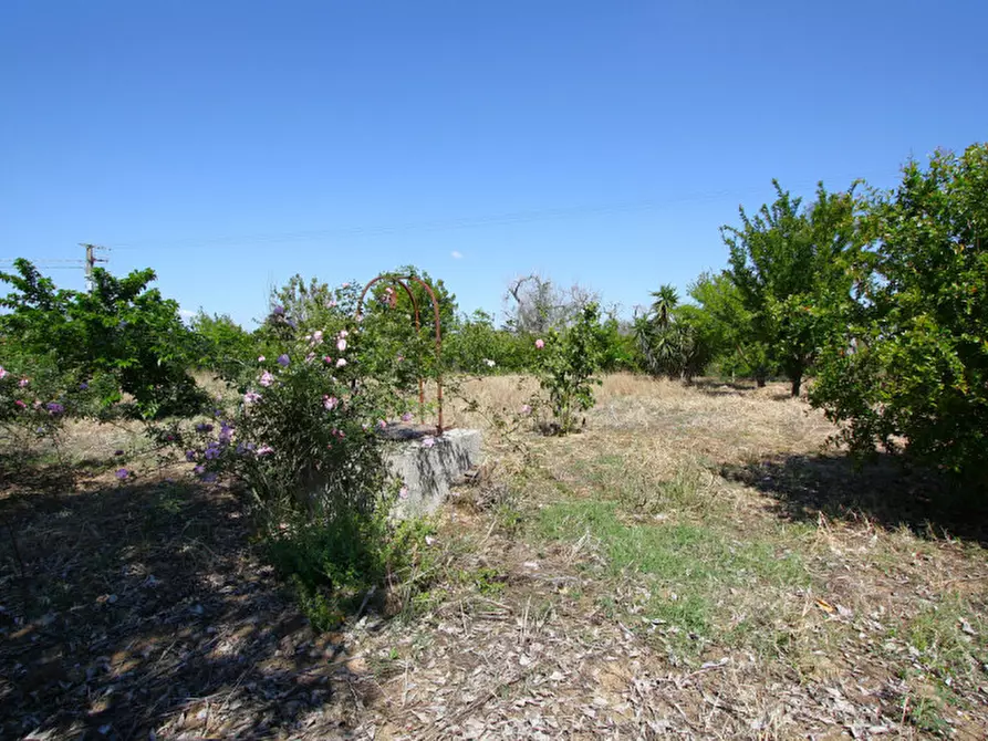Immagine 28 di Rustico / casale in vendita  in SP-86 a Supersano