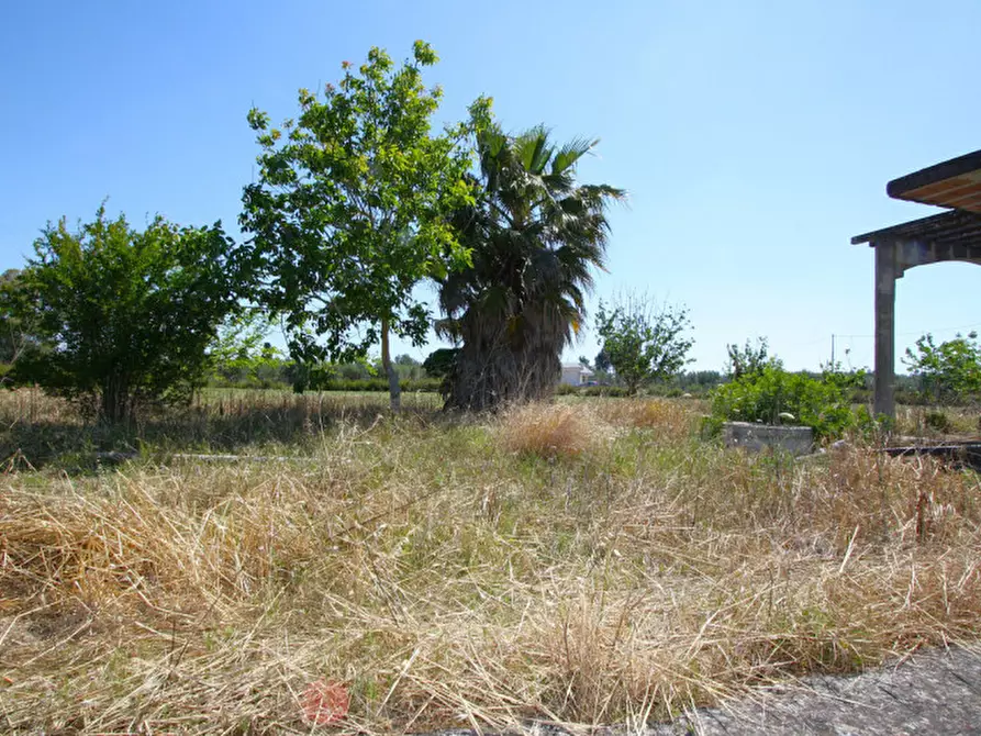 Immagine 30 di Rustico / casale in vendita  in SP-86 a Supersano