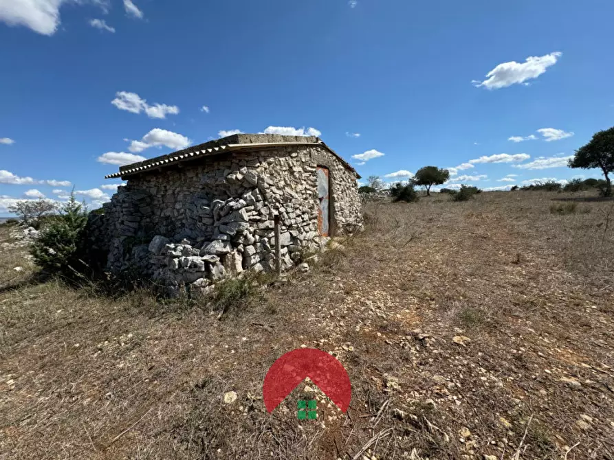 Immagine 3 di Rustico / casale in vendita  in c.da murgia s.n.c. a Matera