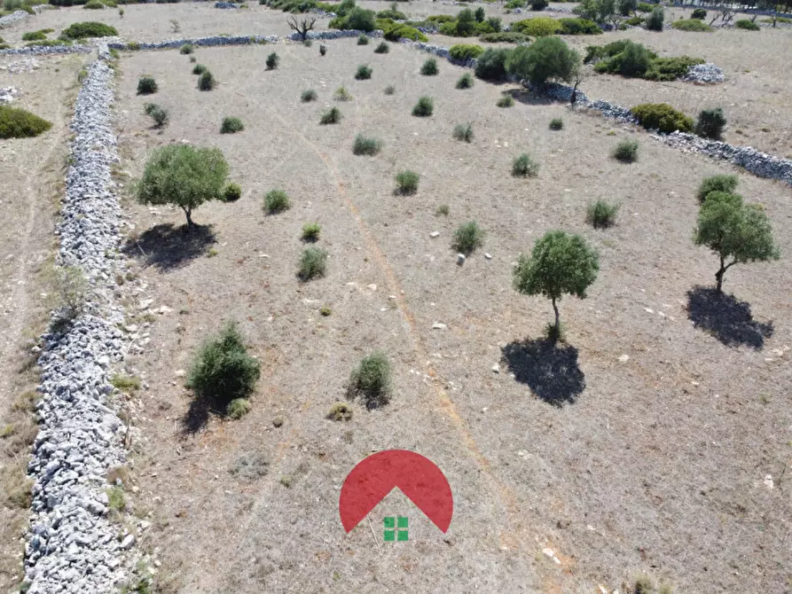 Immagine 7 di Rustico / casale in vendita  in c.da murgia s.n.c. a Matera