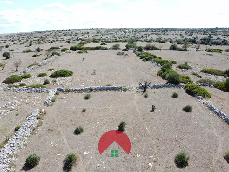 Immagine 8 di Rustico / casale in vendita  in c.da murgia s.n.c. a Matera
