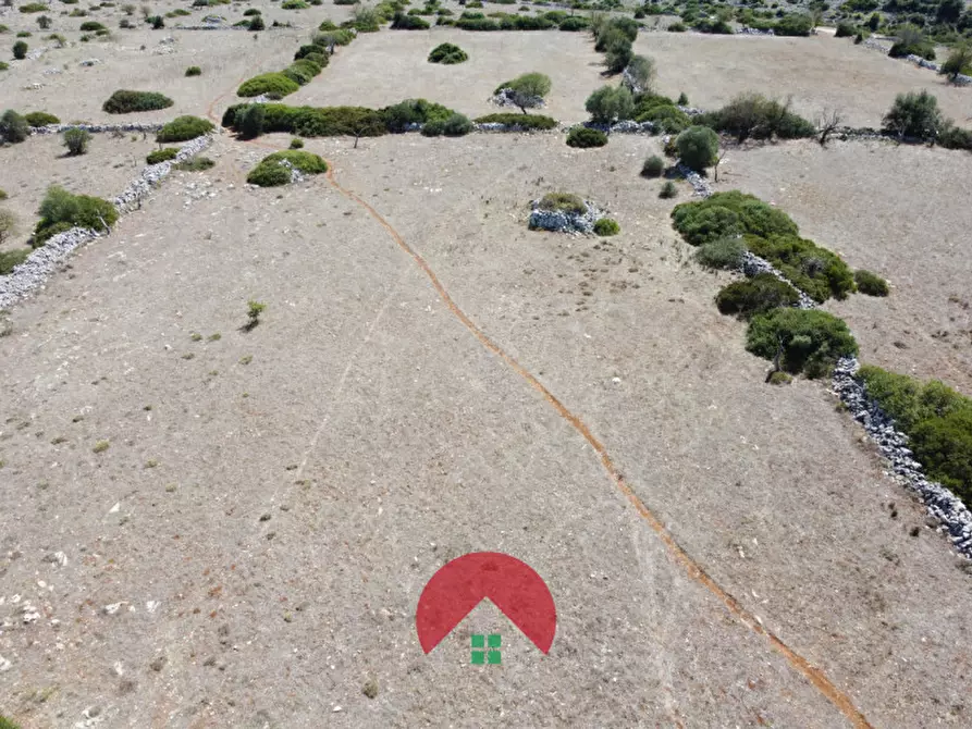 Immagine 9 di Rustico / casale in vendita  in c.da murgia s.n.c. a Matera