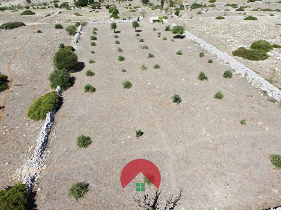 Immagine 10 di Rustico / casale in vendita  in c.da murgia s.n.c. a Matera