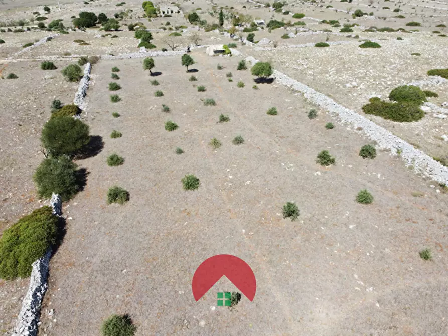 Immagine 11 di Rustico / casale in vendita  in c.da murgia s.n.c. a Matera