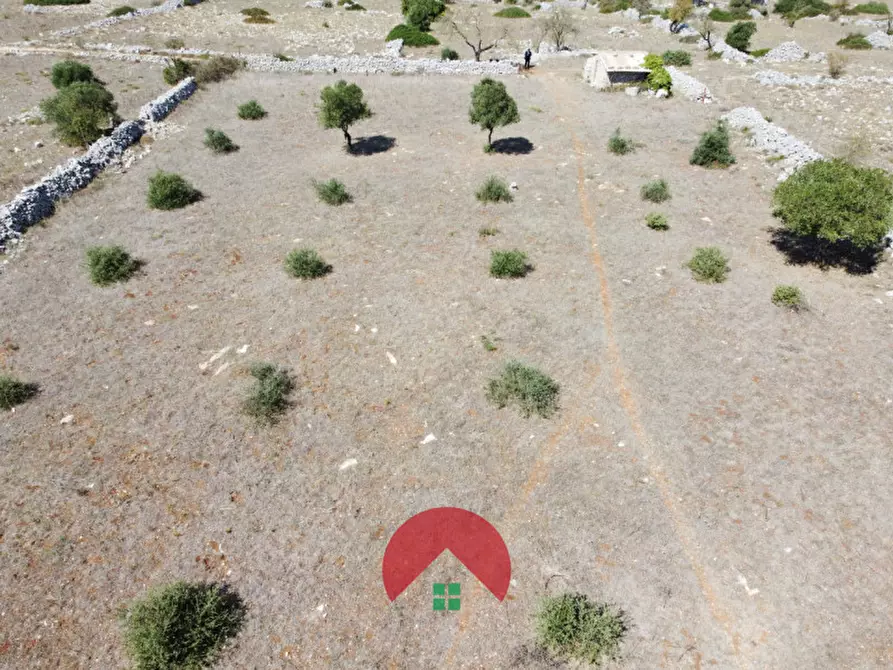 Immagine 12 di Rustico / casale in vendita  in c.da murgia s.n.c. a Matera