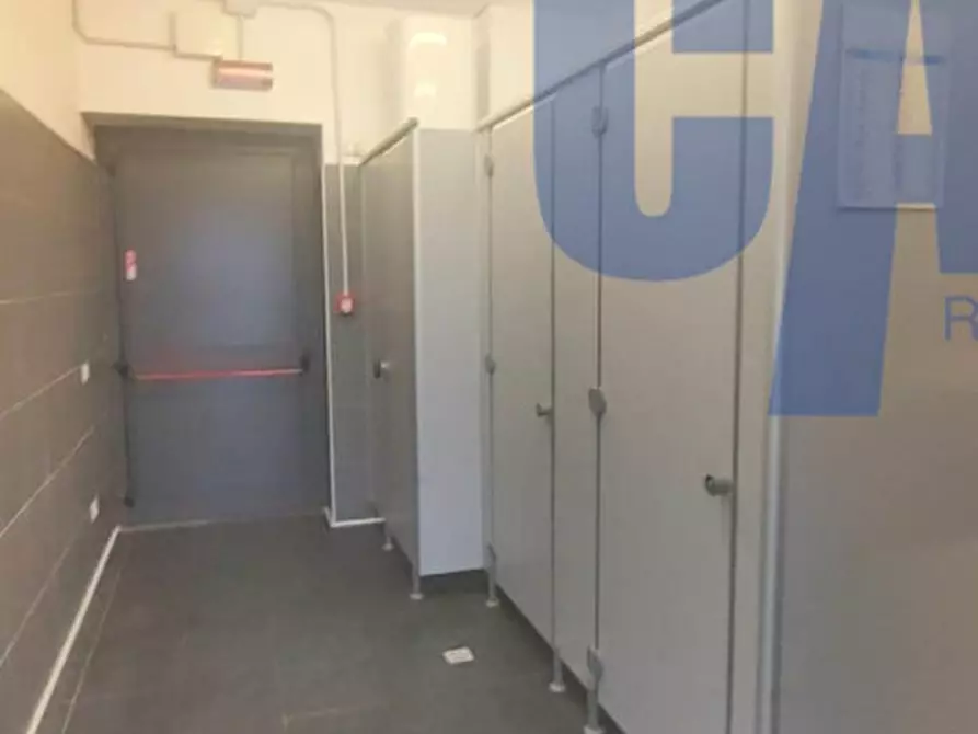 Immagine 23 di Magazzino in affitto  in VIA GALILEI GALILEO a Peschiera Borromeo
