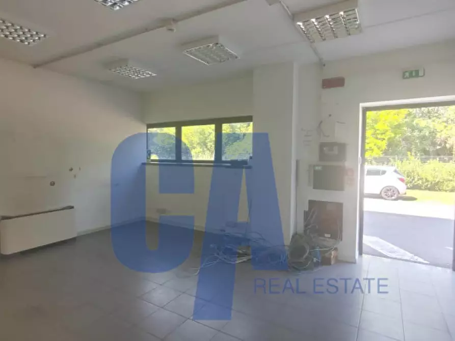 Immagine 19 di Capannone industriale in affitto  in VIA GALILEI GALILEO a Peschiera Borromeo