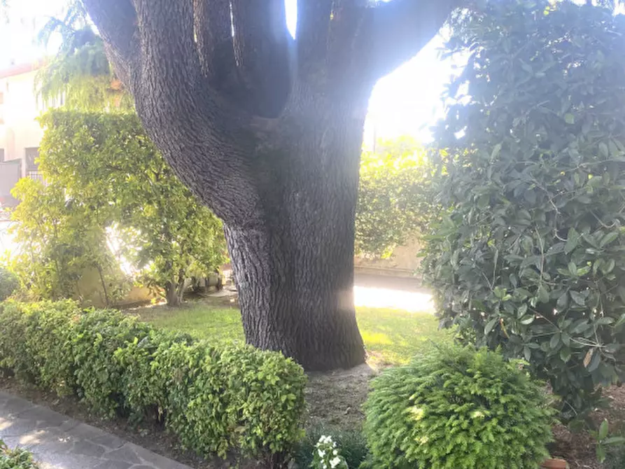 Immagine 6 di Casa bifamiliare in vendita  in Via Roma a Brugine