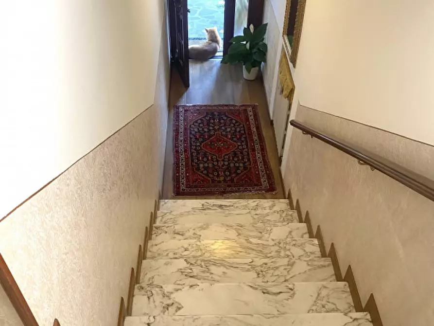 Immagine 18 di Casa bifamiliare in vendita  in Via Roma a Brugine