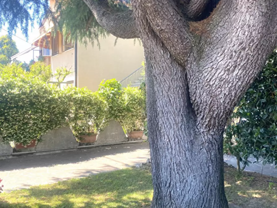 Immagine 28 di Casa bifamiliare in vendita  in Via Roma a Brugine