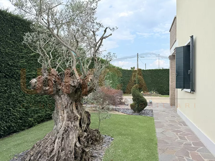 Immagine 47 di Casa trifamiliare in vendita  in Via Capitello a Veggiano