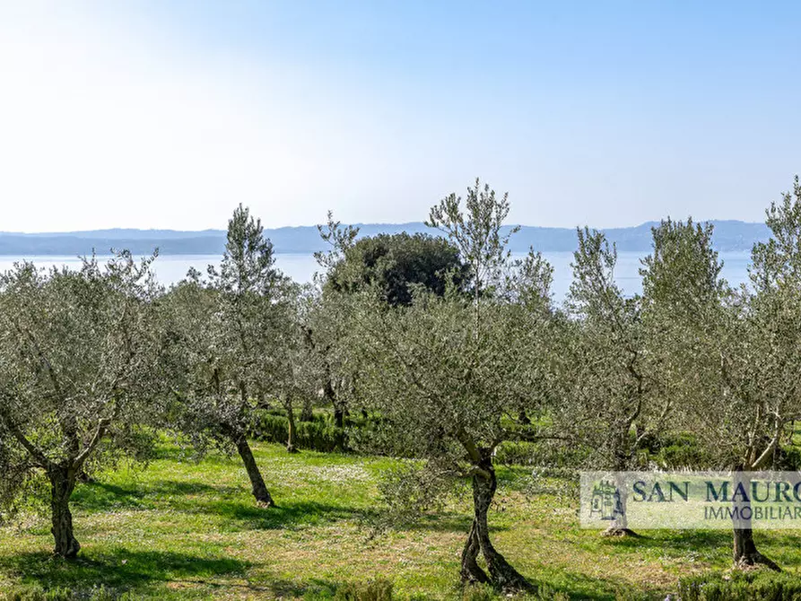 Immagine 1 di Terreno in vendita  in Via Pontaron a Castegnero