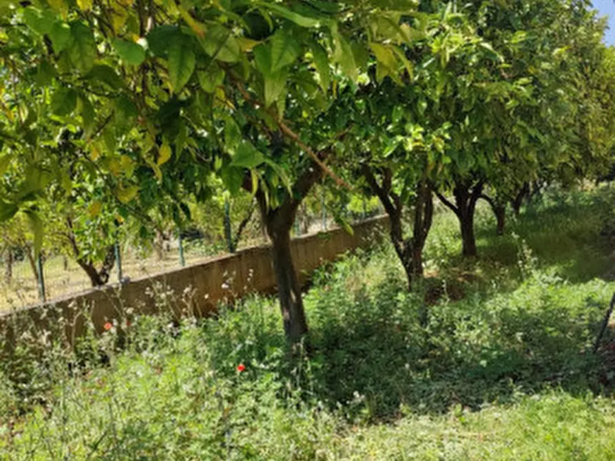 Immagine 15 di Villa in vendita  in Via Calli a Campagna