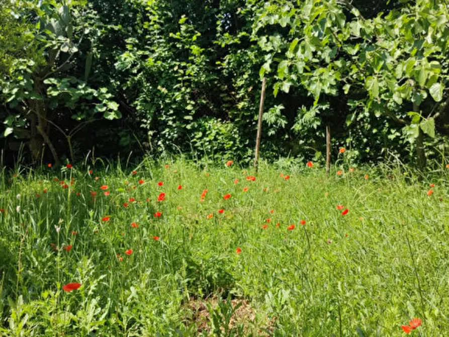 Immagine 20 di Villa in vendita  in Via Calli a Campagna