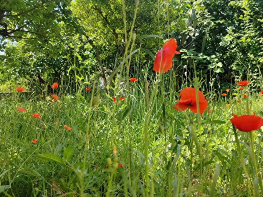 Immagine 21 di Villa in vendita  in Via Calli a Campagna