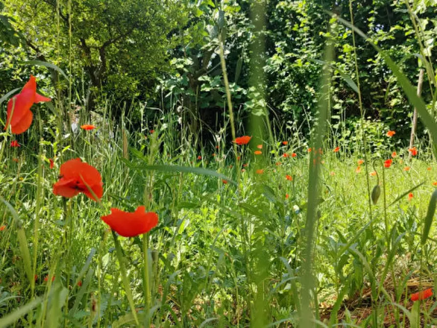 Immagine 22 di Villa in vendita  in Via Calli a Campagna