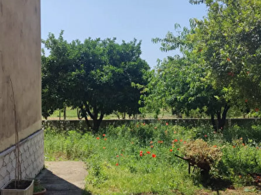 Immagine 23 di Villa in vendita  in Via Calli a Campagna