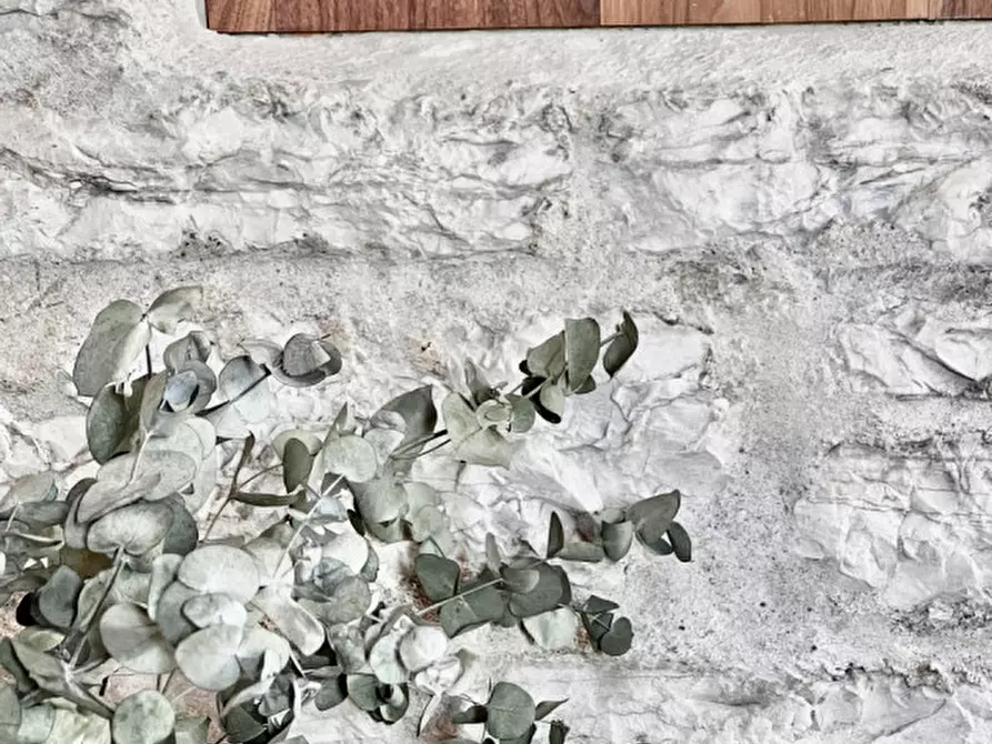 Immagine 11 di Attico in vendita  in Piazza Duomo a Trento