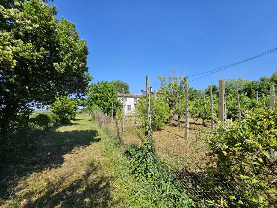 Immagine 2 di Rustico / casale in vendita  in via Santa Maria a Urbana