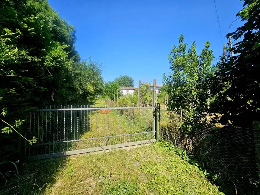 Immagine 5 di Rustico / casale in vendita  in via Santa Maria a Urbana