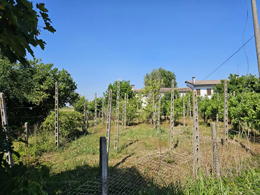 Immagine 7 di Rustico / casale in vendita  in via Santa Maria a Urbana
