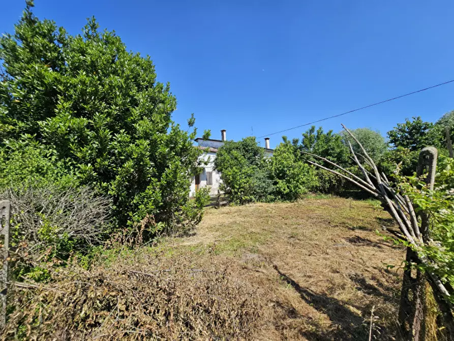 Immagine 12 di Rustico / casale in vendita  in via Santa Maria a Urbana