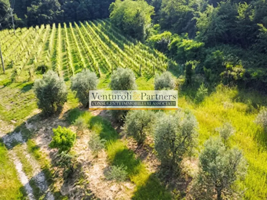 Immagine 2 di Terreno in vendita  in Via delLE FONTANE a Puegnago Sul Garda