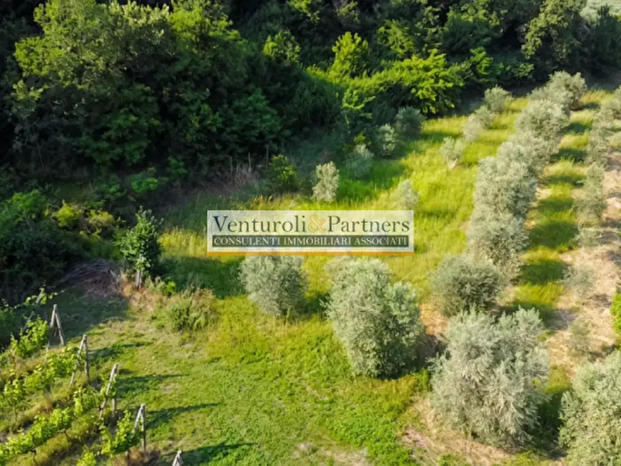 Immagine 5 di Terreno in vendita  in Via delLE FONTANE a Puegnago Sul Garda