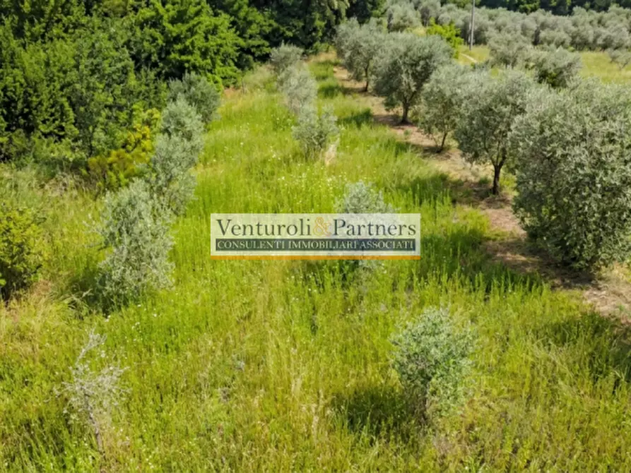 Immagine 7 di Terreno in vendita  in Via delLE FONTANE a Puegnago Sul Garda