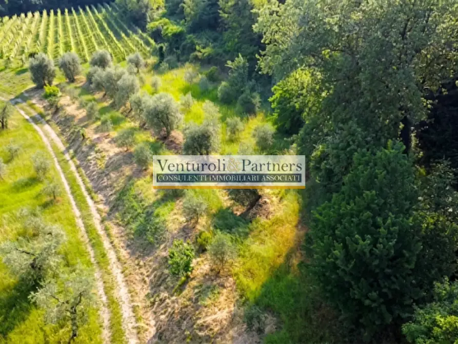 Immagine 8 di Terreno in vendita  in Via delLE FONTANE a Puegnago Sul Garda