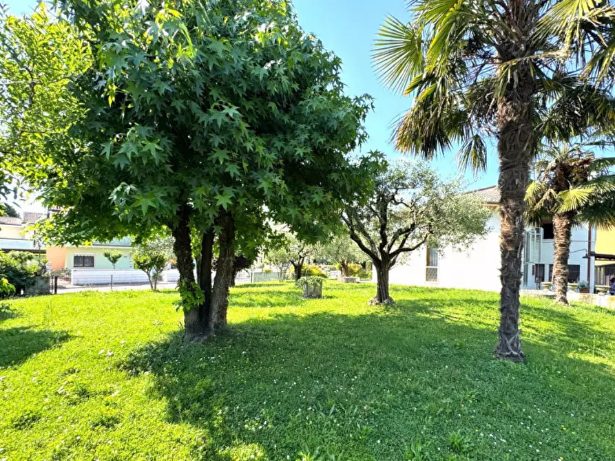 Immagine 5 di Casa indipendente in vendita  in VIA L. DA VINCI, 16 a Monticello Conte Otto
