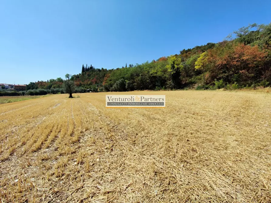 Immagine 1 di Terreno in vendita  in Via della Valle a Polpenazze Del Garda