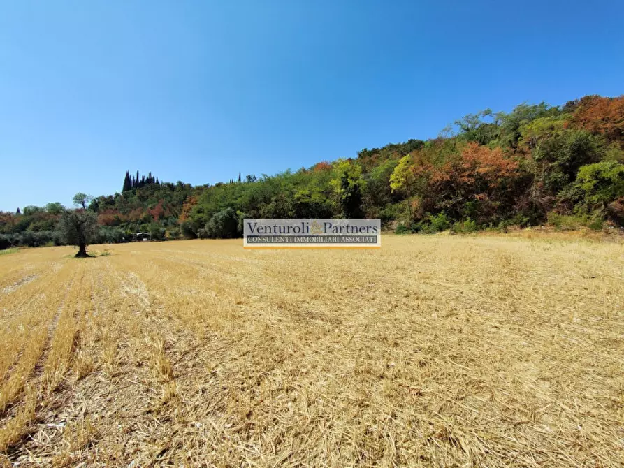 Immagine 3 di Terreno in vendita  in Via della Valle a Polpenazze Del Garda