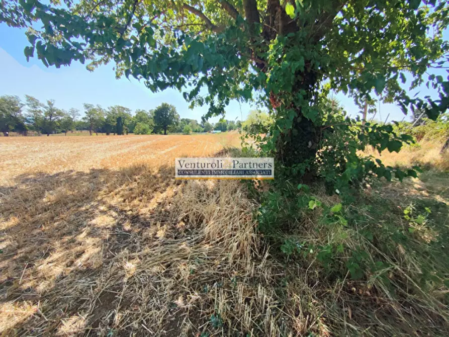Immagine 9 di Terreno in vendita  in Via della Valle a Polpenazze Del Garda