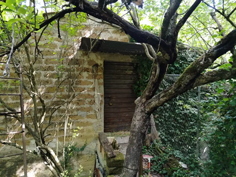 Immagine 4 di Terreno in vendita  in Frazione Configni Camapagna a Acquasparta