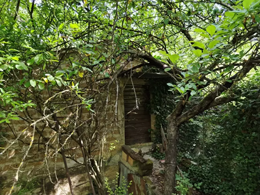 Immagine 5 di Terreno in vendita  in Frazione Configni Camapagna a Acquasparta