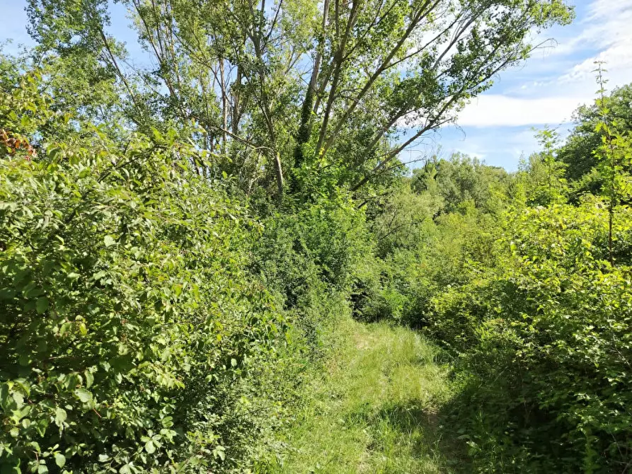 Immagine 6 di Terreno in vendita  in Frazione Configni Camapagna a Acquasparta